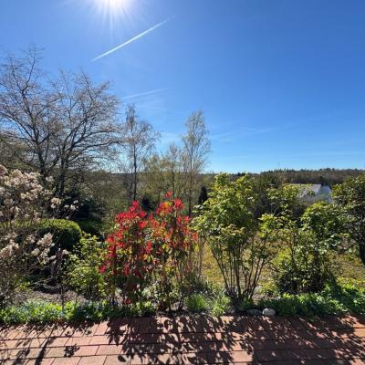25. Blick Von Der Terrasse
